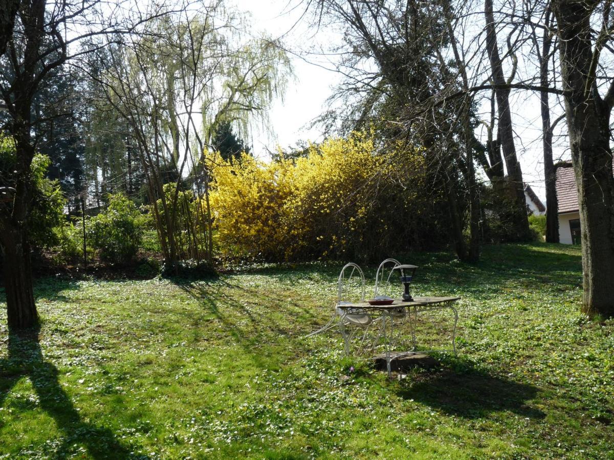 Gîte d'Maïsala Les Mésanges Heidwiller Esterno foto